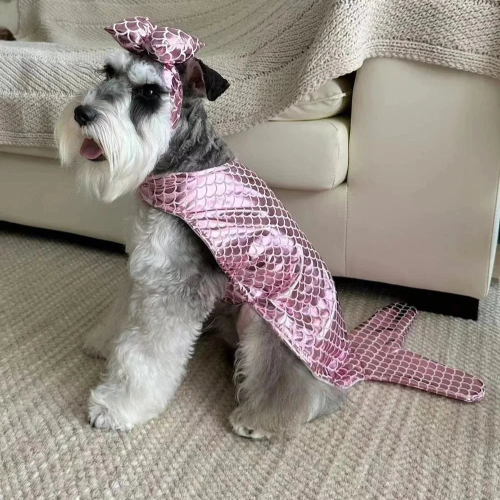 Halloween Pumpkin Pet Dress – Funny Costume for Small Dogs & Cats