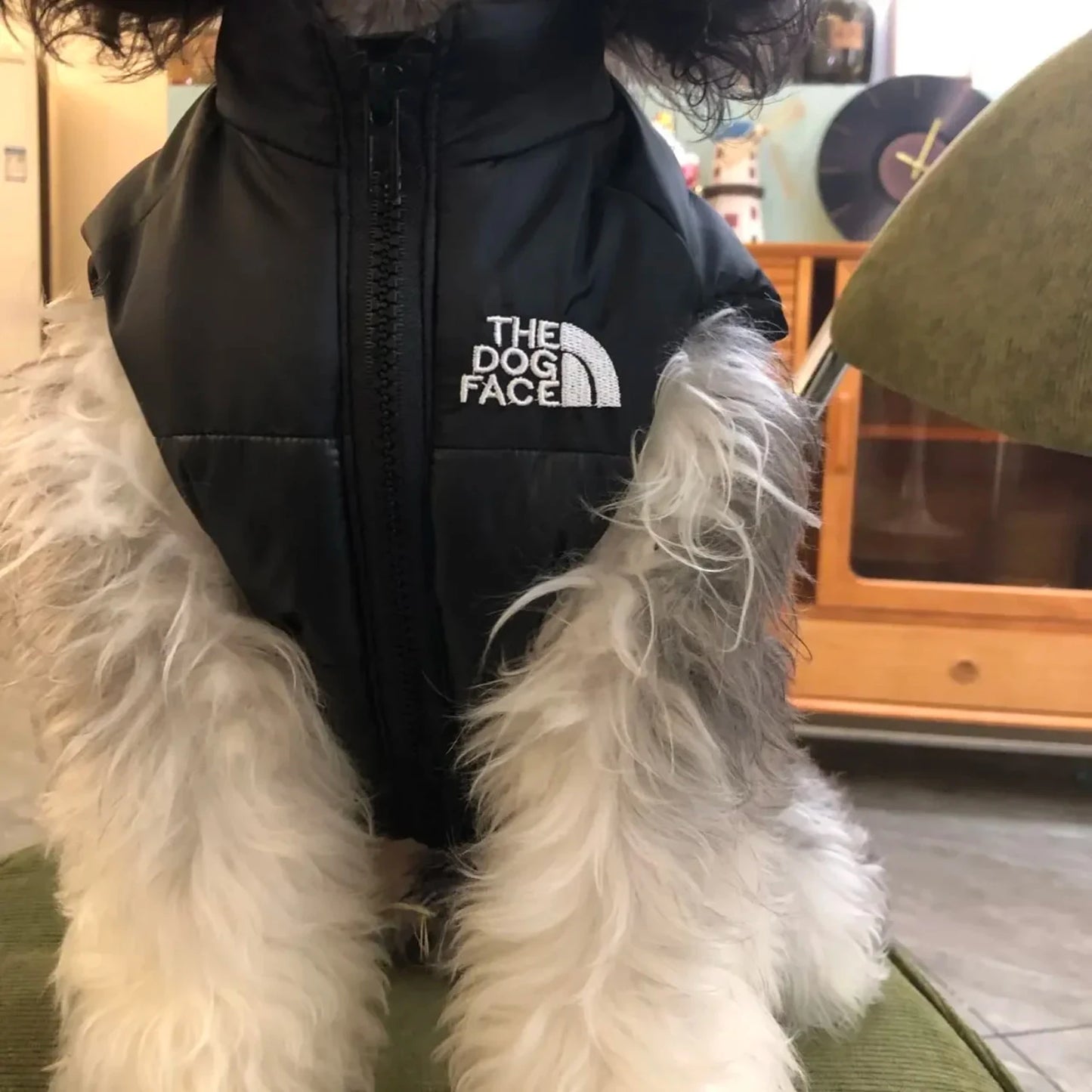 Autumn Winter Dog Jacket | Warm Leather Vest for Small & Medium Dogs