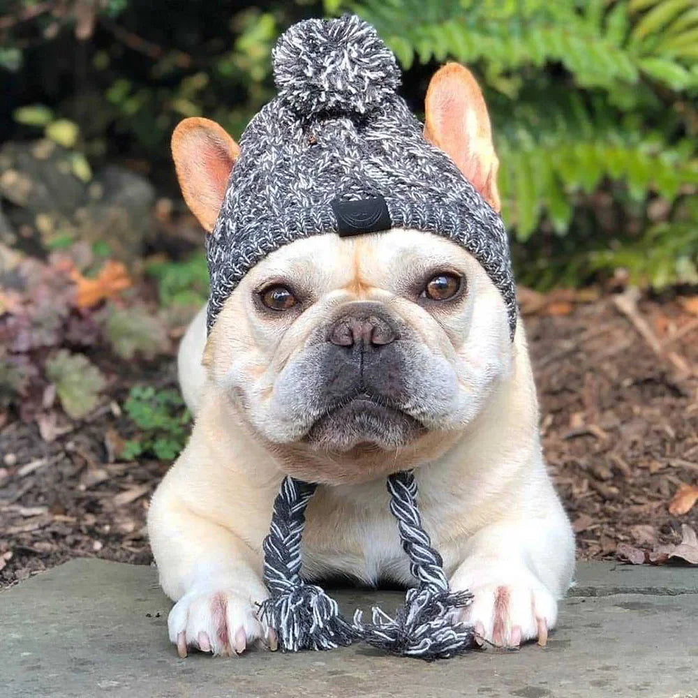 Winter Pet Hat – Woolen Christmas Cap for Small & Medium Dogs