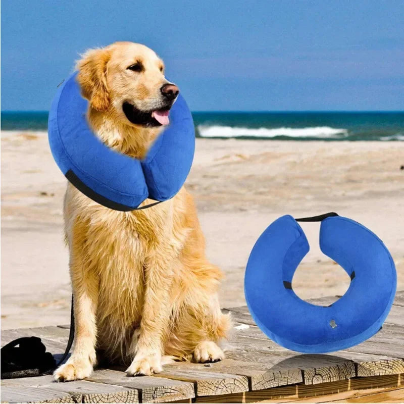 Inflatable Dog Collar – Isabelino Anti-Bite Wound Protective Collar for Dogs & Cats