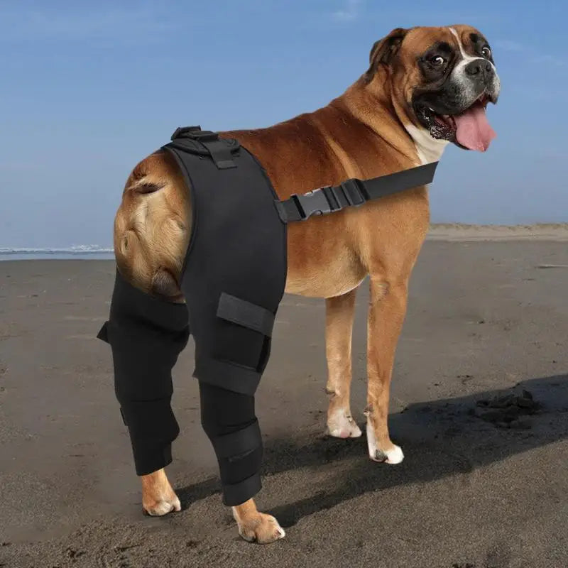 Adjustable Dog Hip & Knee Brace – Rear Leg Support for Joint Recovery