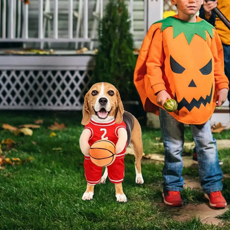 Basketball Player Pet Costume – Dog Holding Basketball Outfit for Medium Dogs
