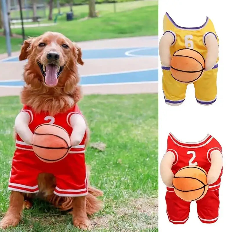 Basketball Player Pet Costume – Dog Holding Basketball Outfit for Medium Dogs