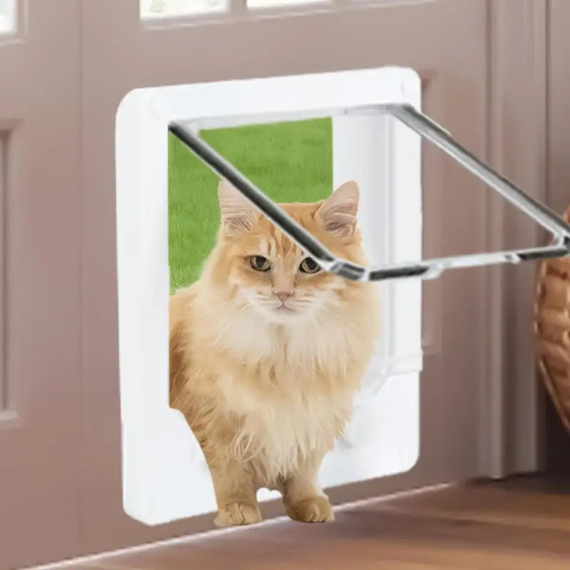 4-Way Cat & Small Pet Door – Lockable Weatherproof Door for Dogs & Cats