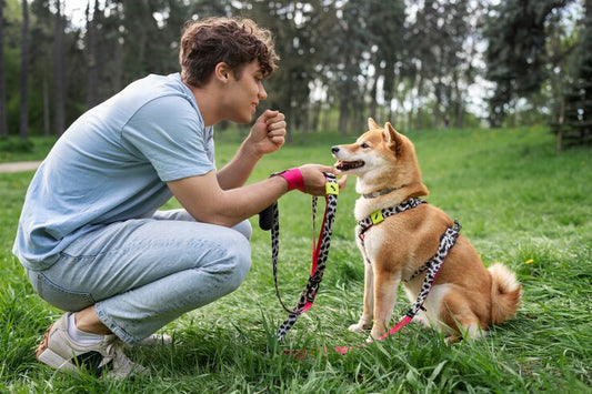 Training Tips for a Well-Behaved Pup — How Smart Collars Can Help