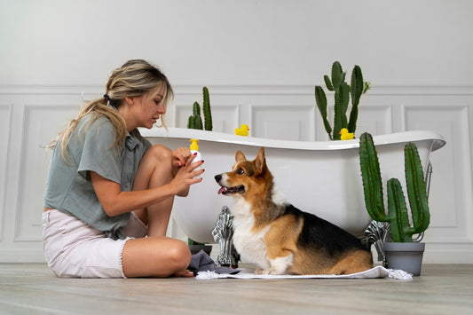 Simple Grooming Tips to Keep Your Pet Looking (and Feeling) Great