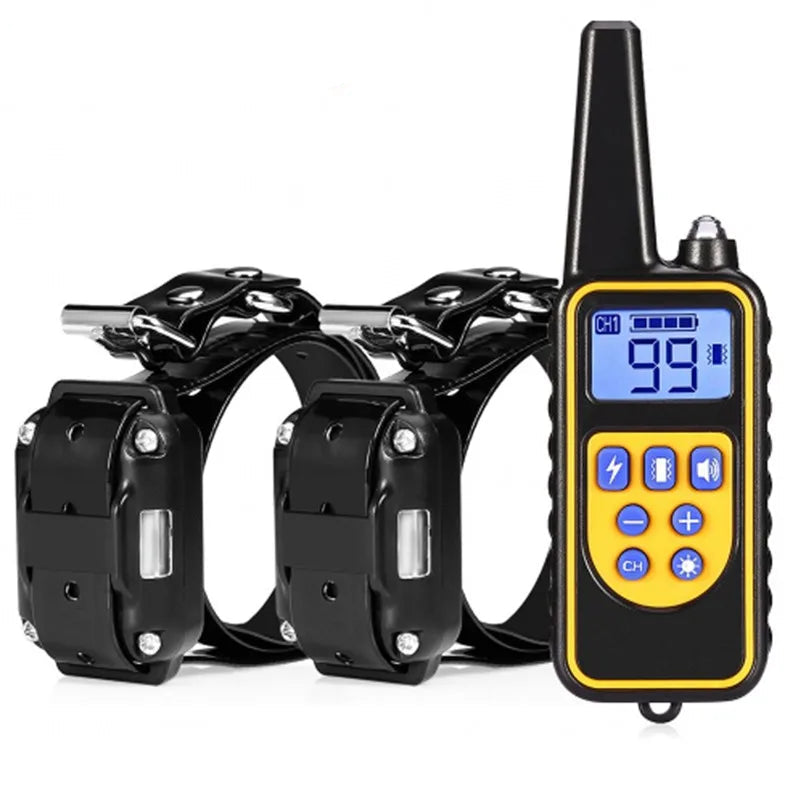 Dog training collar set with remote control on a white background