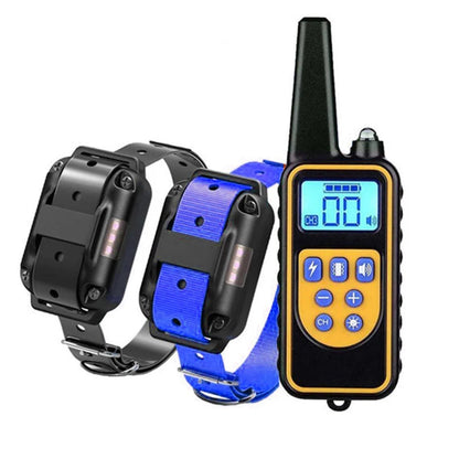 Two dog collars and a remote control device for two dogs on a white background.