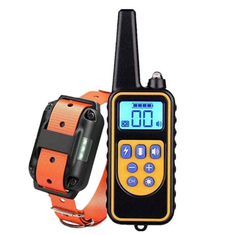 Dog training collar with remote control on a white background