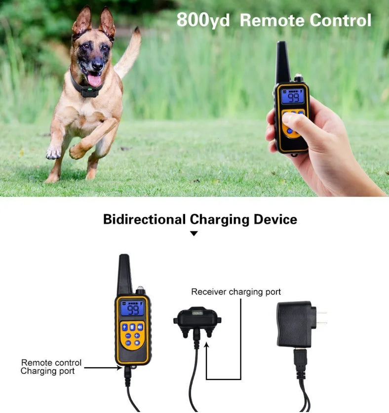 Electric Dog Training Collar with Remote | Waterproof & Rechargeable