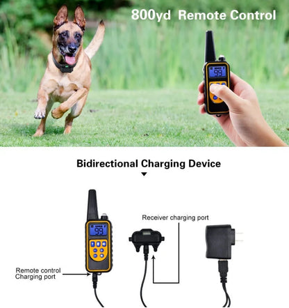 Electric Dog Training Collar with Remote | Waterproof & Rechargeable