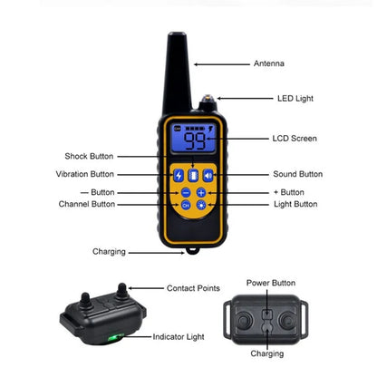 Electric Dog Training Collar with Remote | Waterproof & Rechargeable