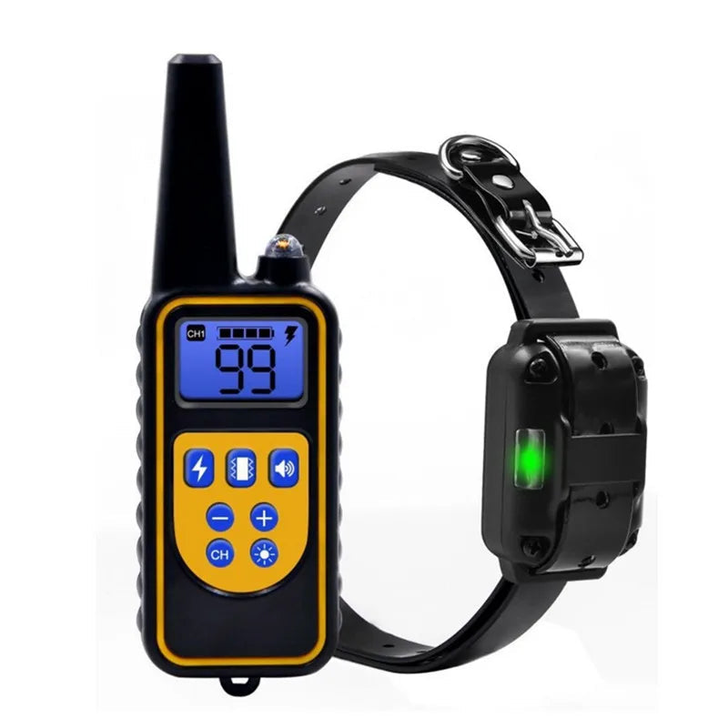 Dog training collar with remote control on a white background