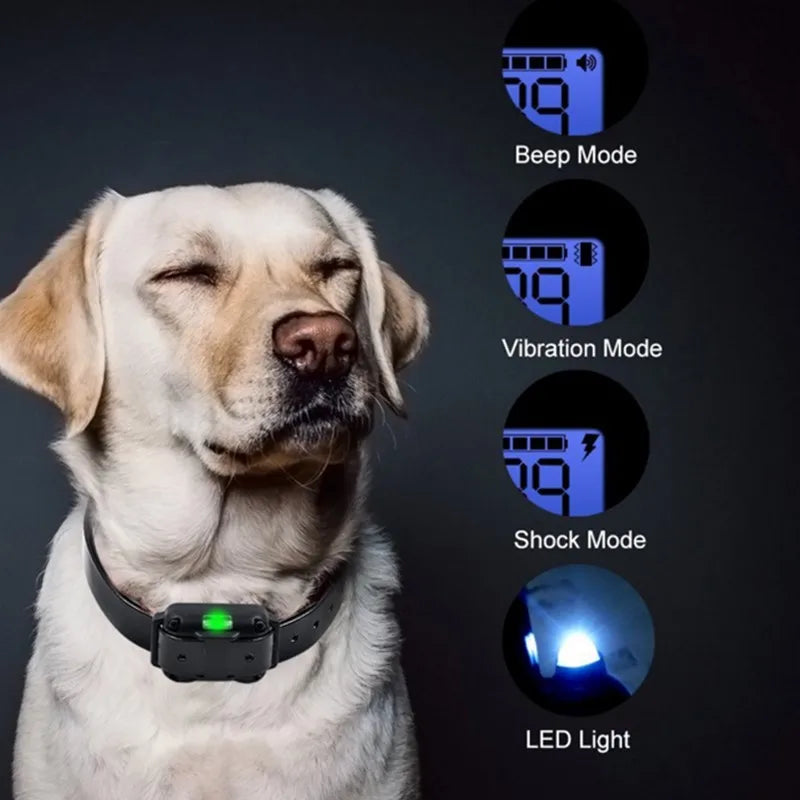 Electric Dog Training Collar with Remote | Waterproof & Rechargeable