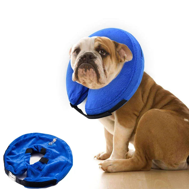 Inflatable Dog Collar – Isabelino Anti-Bite Wound Protective Collar for Dogs & Cats