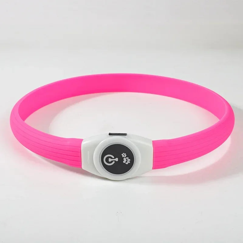 LED Luminous Dog Collar – USB Rechargeable Waterproof Night Safety Collar