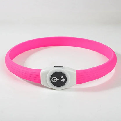 LED Luminous Dog Collar – USB Rechargeable Waterproof Night Safety Collar
