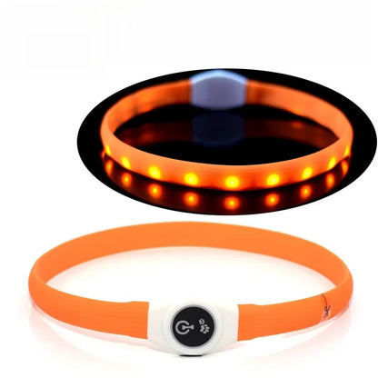 LED Luminous Dog Collar – USB Rechargeable Waterproof Night Safety Collar