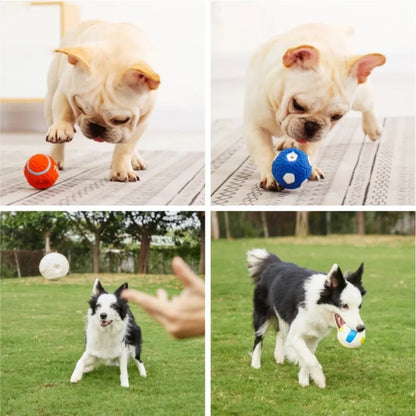 Natural Latex Dog Balls – Anti-Bite Interactive Chew Toys for Small & Large Dogs