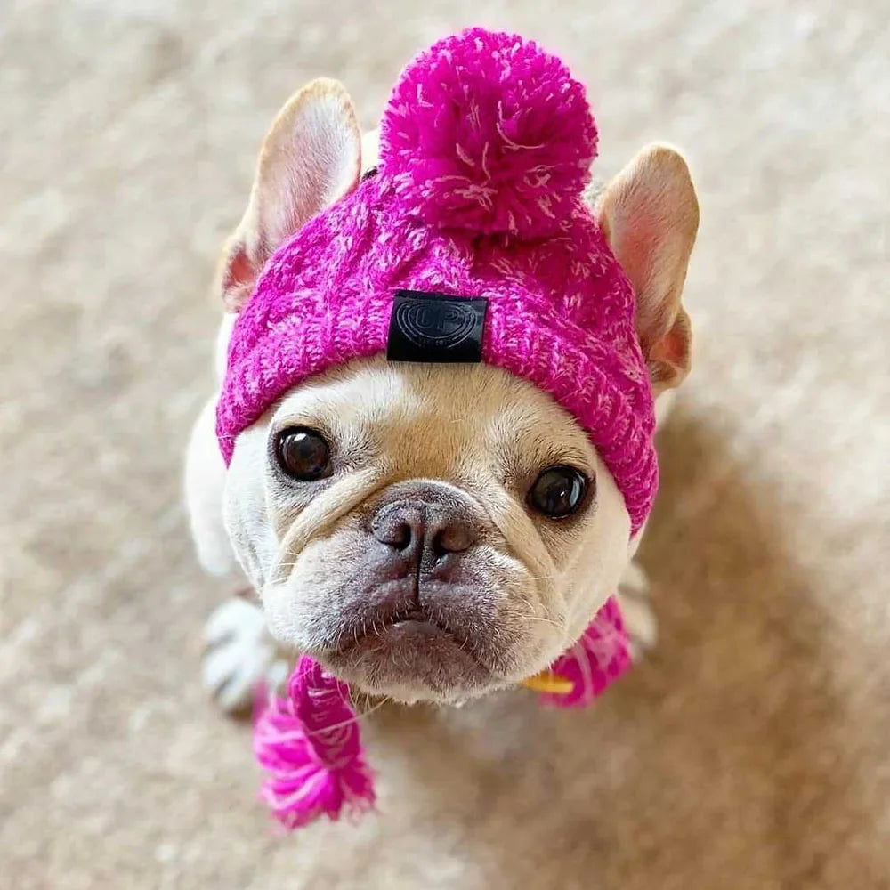 Winter Pet Hat – Woolen Christmas Cap for Small & Medium Dogs