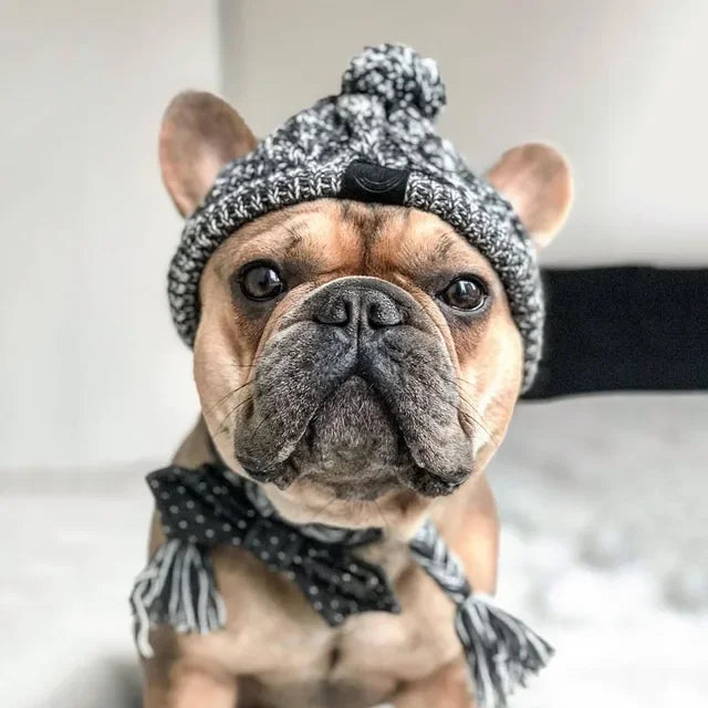 Winter Pet Hat – Woolen Christmas Cap for Small & Medium Dogs