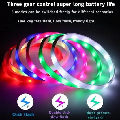 LED Luminous Dog Collar – USB Rechargeable Waterproof Night Safety Collar