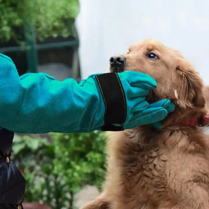 Pet Gloves – Durable Anti-Bite Leather Protective Gloves for Dogs & Cats