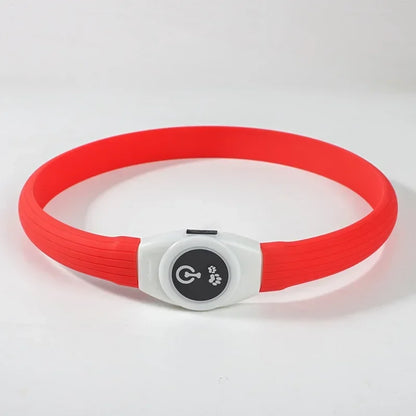 LED Luminous Dog Collar – USB Rechargeable Waterproof Night Safety Collar