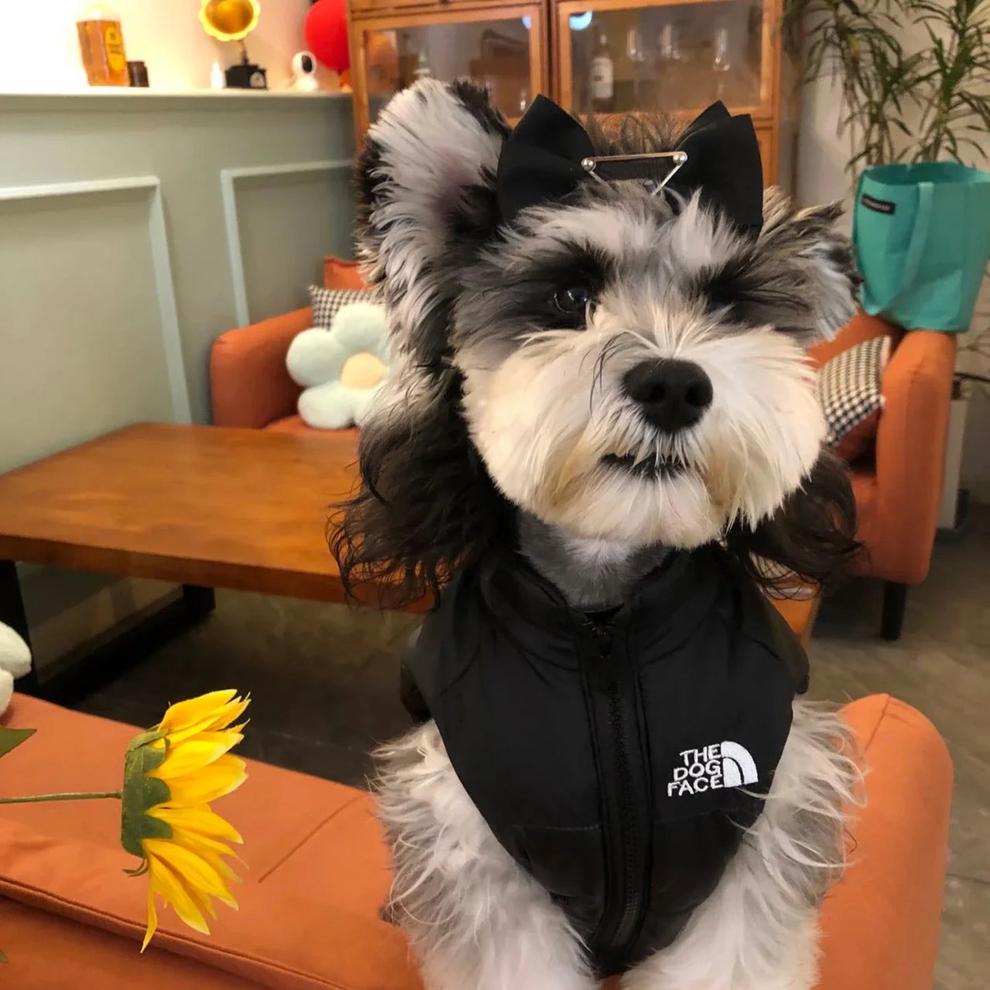 Autumn Winter Dog Jacket | Warm Leather Vest for Small & Medium Dogs