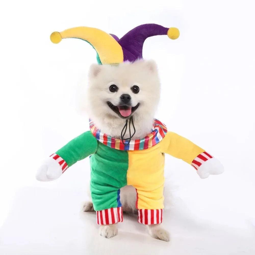 Halloween Pumpkin Pet Dress – Funny Costume for Small Dogs & Cats