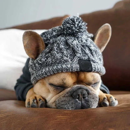Winter Pet Hat – Woolen Christmas Cap for Small & Medium Dogs