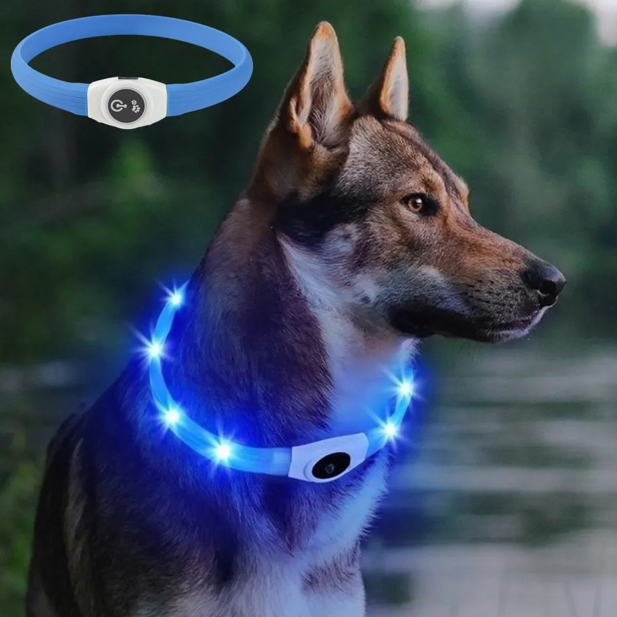 LED Luminous Dog Collar – USB Rechargeable Waterproof Night Safety Collar