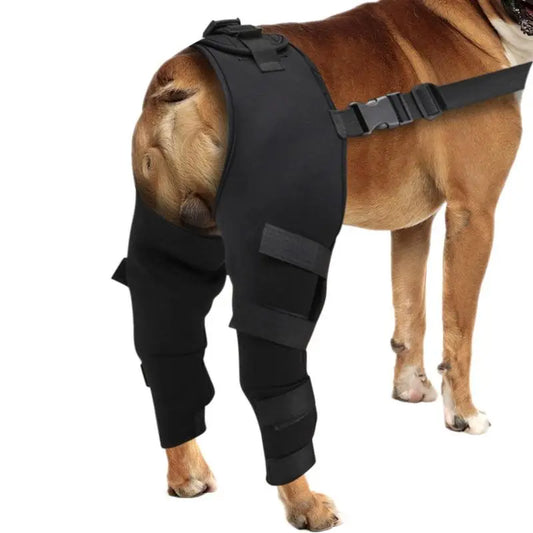 Adjustable Dog Hip & Knee Brace – Rear Leg Support for Joint Recovery