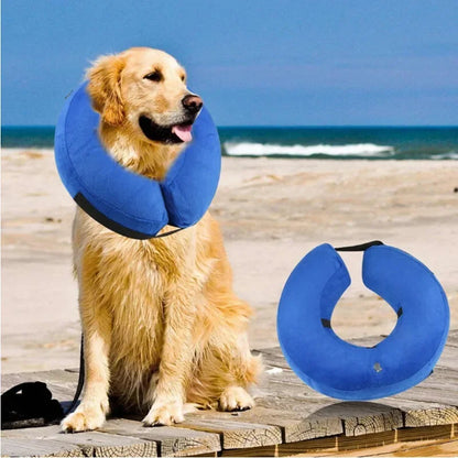 Inflatable Dog Collar – Isabelino Anti-Bite Wound Protective Collar for Dogs & Cats