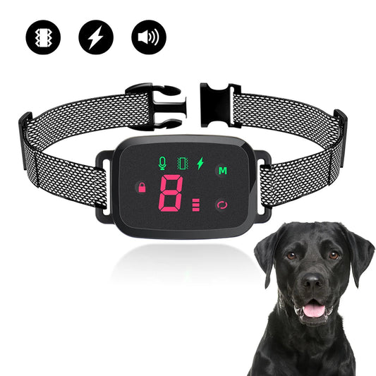 Automatic dog training collar with digital display and a black dog on a white background