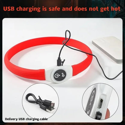 LED Luminous Dog Collar – USB Rechargeable Waterproof Night Safety Collar