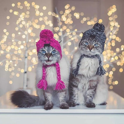 Winter Pet Hat – Woolen Christmas Cap for Small & Medium Dogs