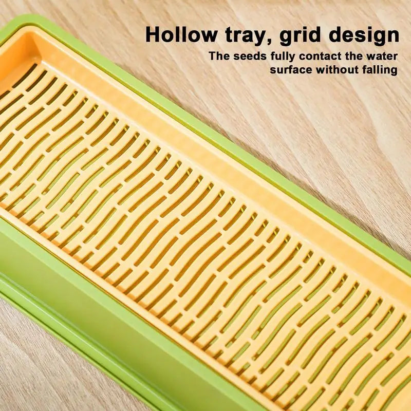 Cat Grass Planter Kit – Layered Soilless Cat Grass Bowl for Pets