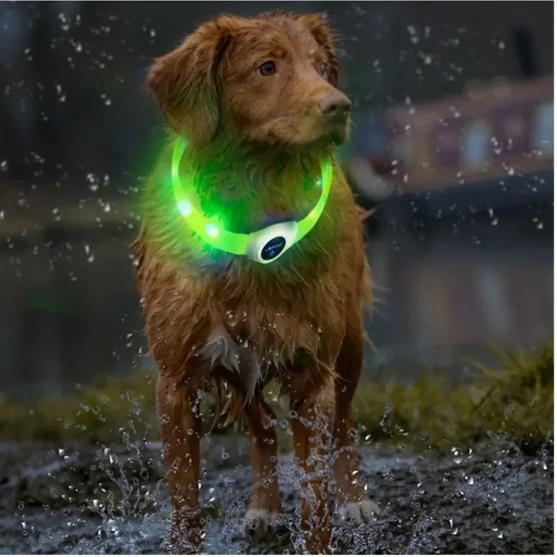 LED Luminous Dog Collar – USB Rechargeable Waterproof Night Safety Collar