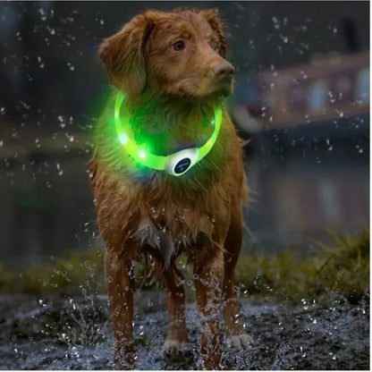 LED Luminous Dog Collar – USB Rechargeable Waterproof Night Safety Collar