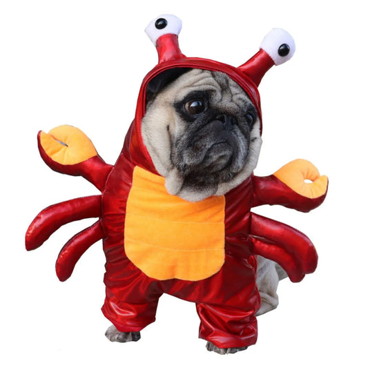 Funny Halloween Pet Costume – Crab Hoodie for Small & Medium Dogs and Cats