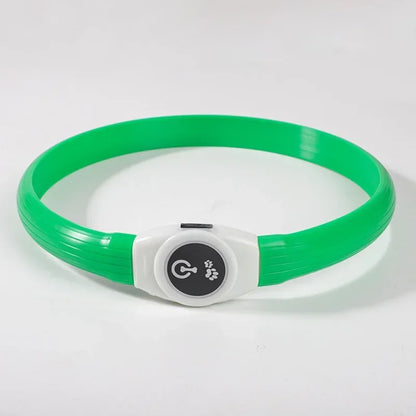 LED Luminous Dog Collar – USB Rechargeable Waterproof Night Safety Collar