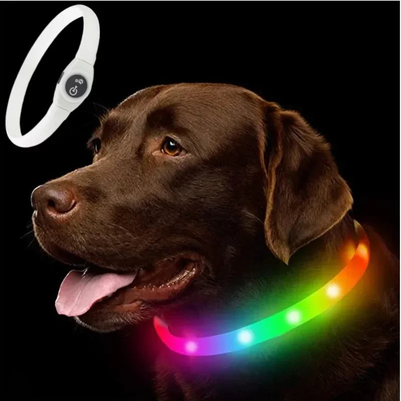 LED Luminous Dog Collar – USB Rechargeable Waterproof Night Safety Collar
