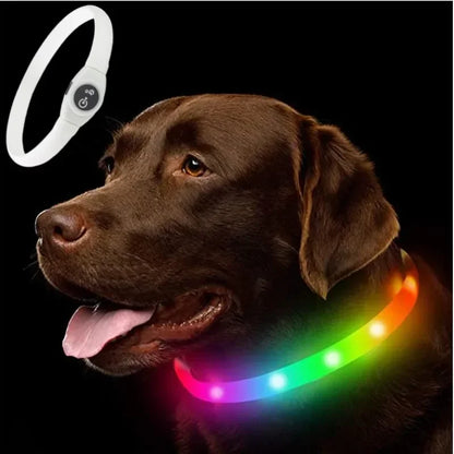 LED Luminous Dog Collar – USB Rechargeable Waterproof Night Safety Collar