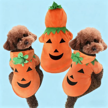 Halloween Pumpkin Pet Dress – Funny Costume for Small Dogs & Cats