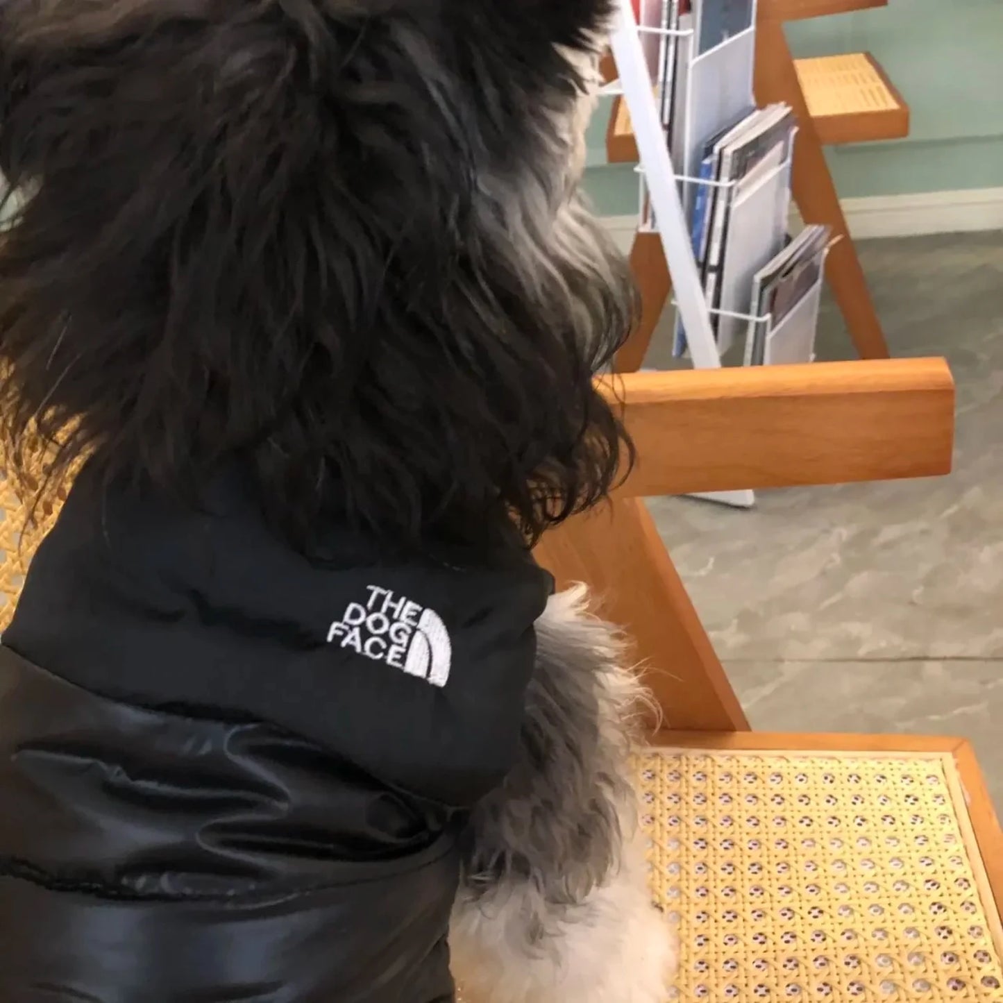 Autumn Winter Dog Jacket | Warm Leather Vest for Small & Medium Dogs