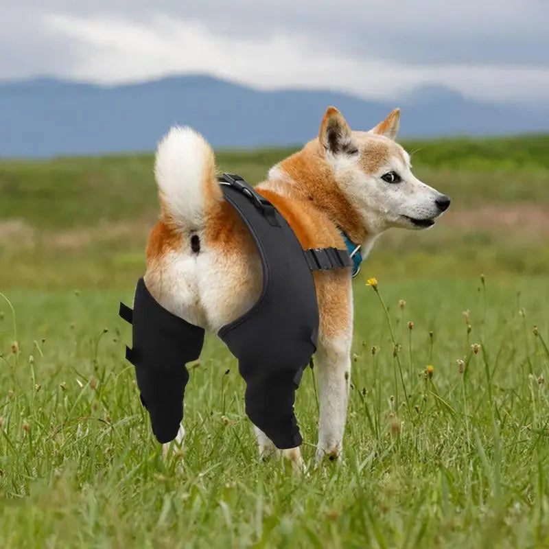 Adjustable Dog Hip & Knee Brace – Rear Leg Support for Joint Recovery
