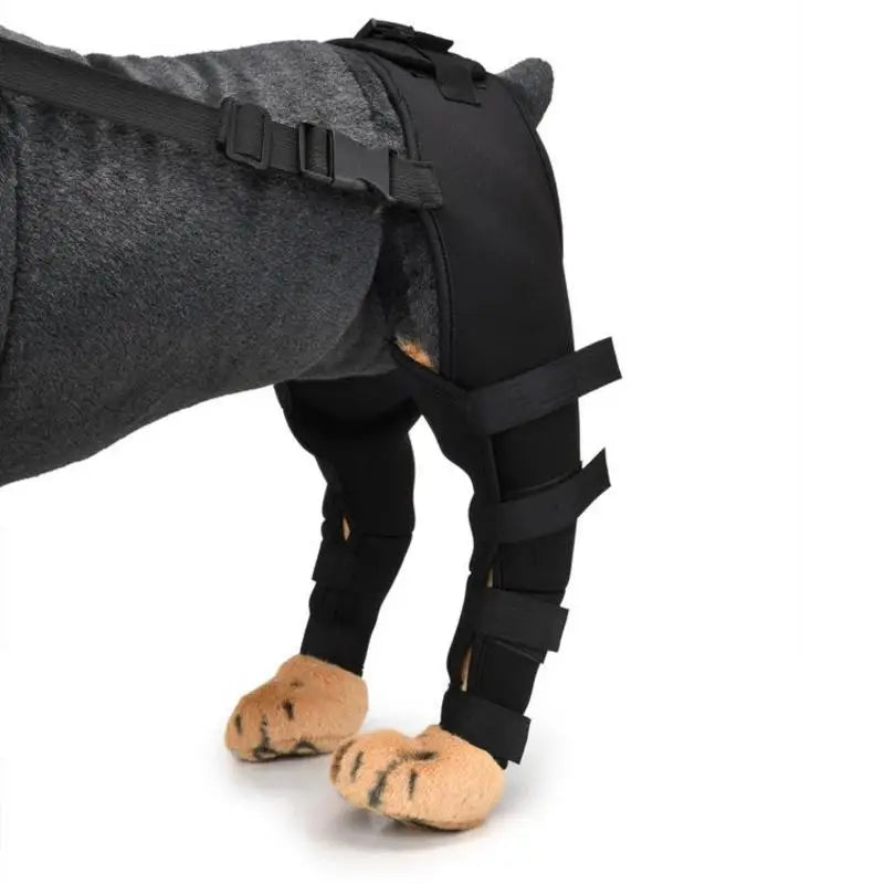 Adjustable Dog Hip & Knee Brace – Rear Leg Support for Joint Recovery