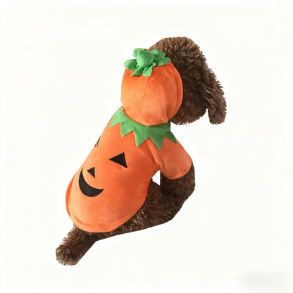 Halloween Pumpkin Pet Dress – Funny Costume for Small Dogs & Cats