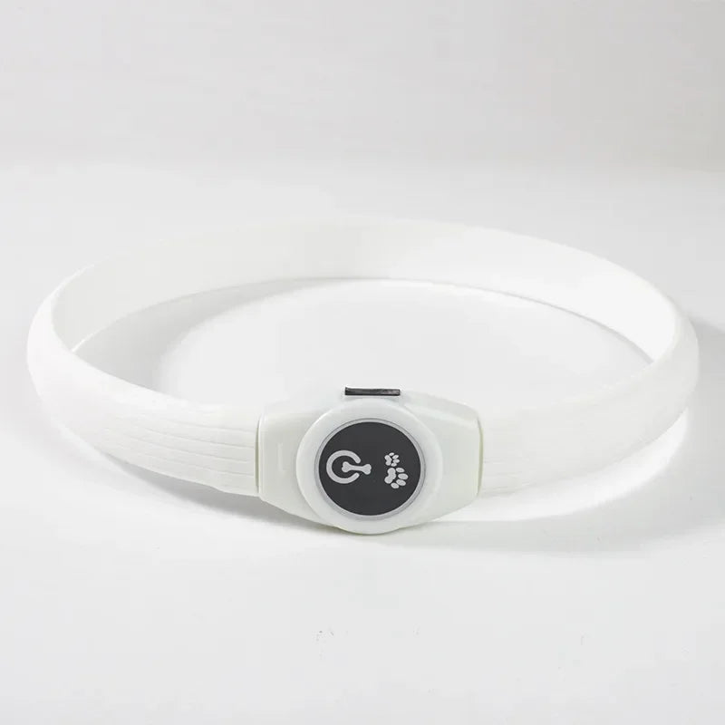 LED Luminous Dog Collar – USB Rechargeable Waterproof Night Safety Collar